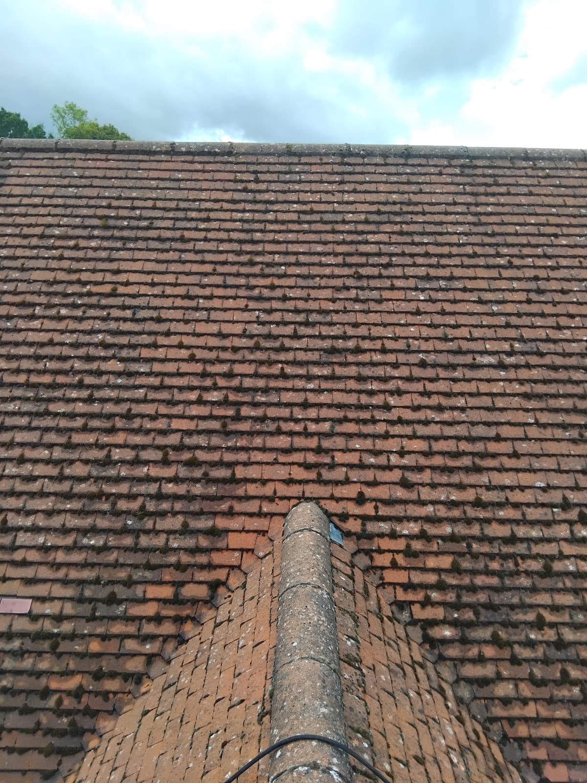 Roof Cleaning — before