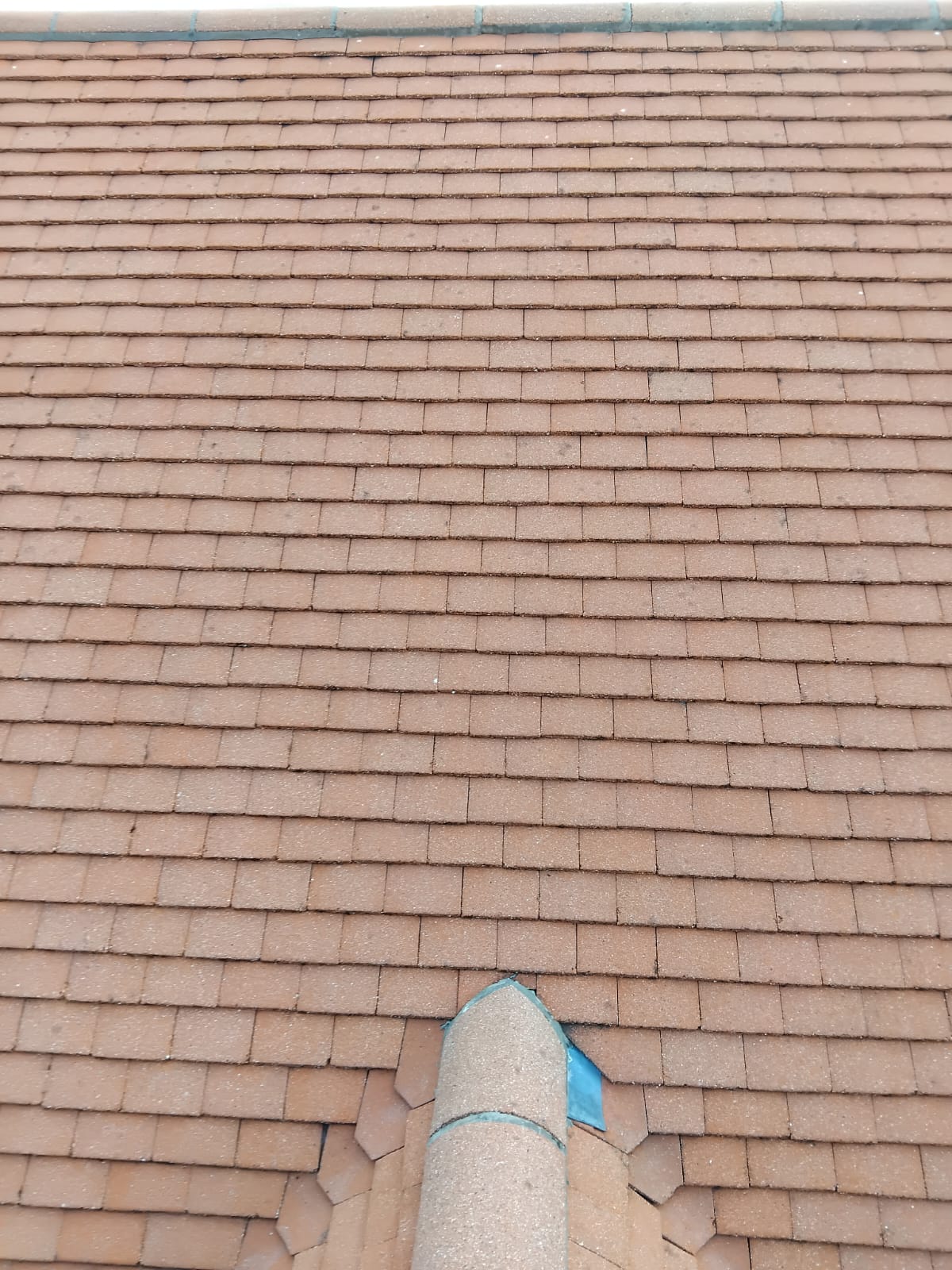 Roof Cleaning — after